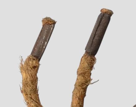 WW1 Austro-Hungarian German Made Steel Helmet